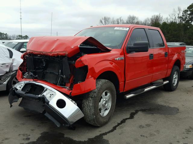 1FTFW1EF7BKE01757 - 2011 FORD F150 SUPER RED photo 2