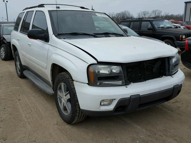 1GNDT13S052295888 - 2005 CHEVROLET TRAILBLAZE WHITE photo 1