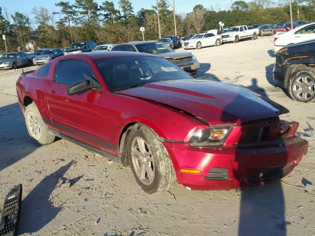1ZVBP8AN8A5172730 - 2010 FORD MUSTANG RED photo 1