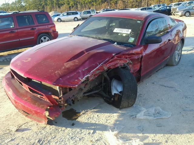 1ZVBP8AN8A5172730 - 2010 FORD MUSTANG RED photo 2