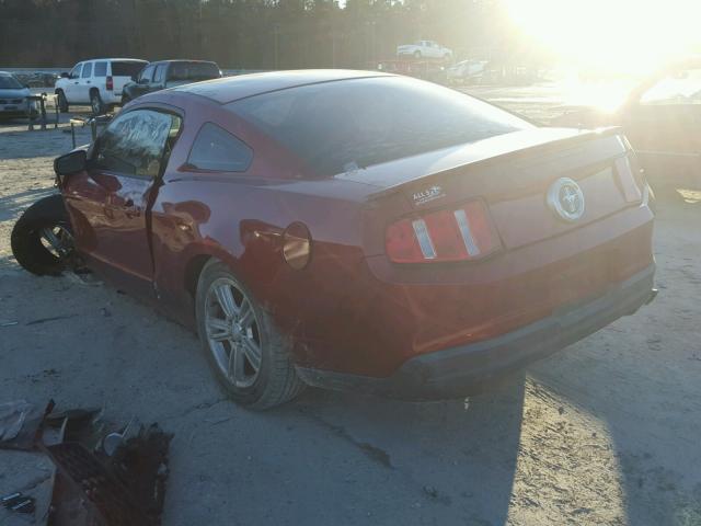 1ZVBP8AN8A5172730 - 2010 FORD MUSTANG RED photo 3