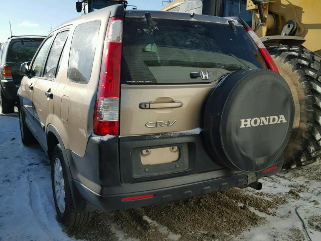 SHSRD78895U329506 - 2005 HONDA CR-V EX TAN photo 3