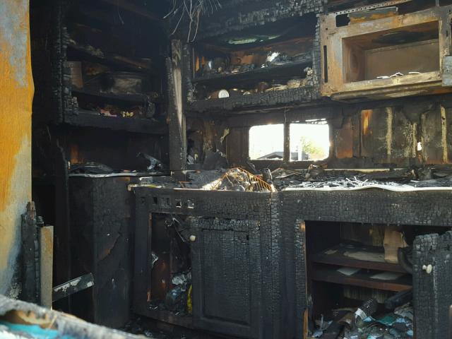 N0V1N21895038 - 2002 ROADMASTER RAIL MONOCOQUE Сұр фото 6