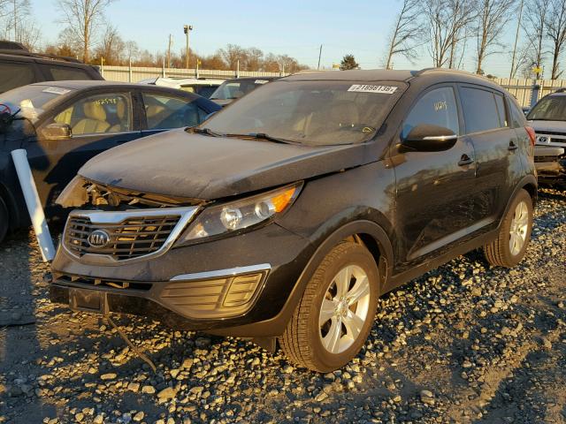 KNDPB3A23B7156294 - 2011 KIA SPORTAGE L BLACK photo 2