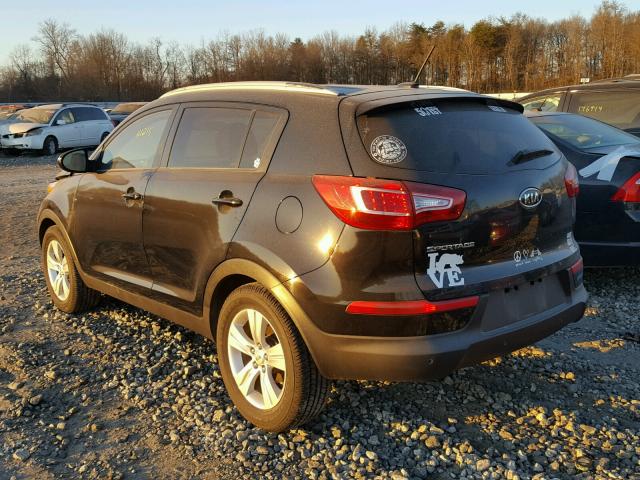 KNDPB3A23B7156294 - 2011 KIA SPORTAGE L BLACK photo 3