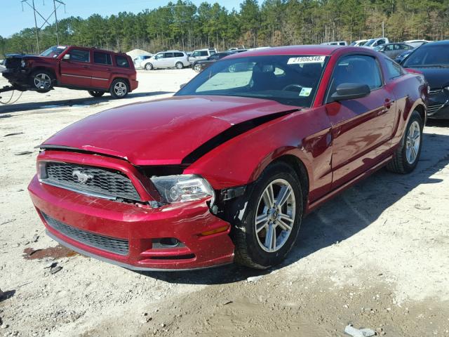 1ZVBP8AM4D5244454 - 2013 FORD MUSTANG RED photo 2