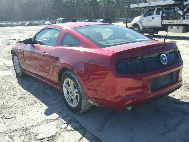 1ZVBP8AM4D5244454 - 2013 FORD MUSTANG RED photo 3