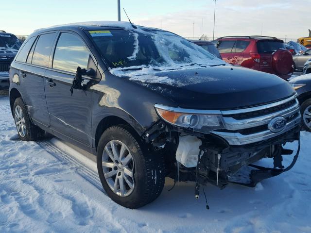 2FMDK3JC8EBA04904 - 2014 FORD EDGE SEL BLACK photo 1