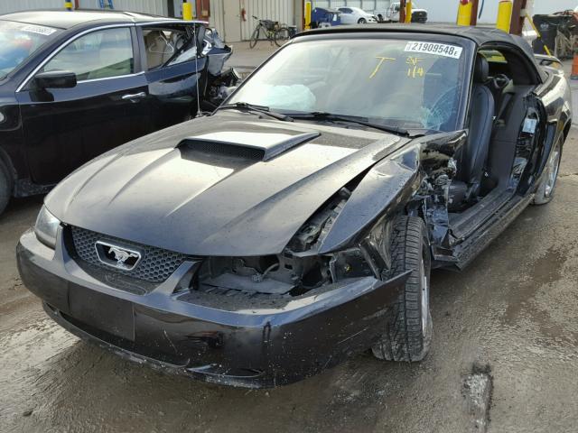 1FAFP44614F217156 - 2004 FORD MUSTANG BLACK photo 2