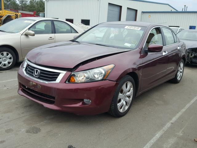 1HGCP36818A001799 - 2008 HONDA ACCORD EXL RED photo 2