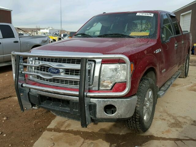 1FTFW1ET5EKF37685 - 2014 FORD F150 SUPER MAROON photo 2