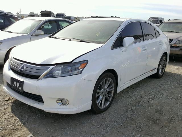 JTHBB1BA7A2010527 - 2010 LEXUS HS 250H WHITE photo 2