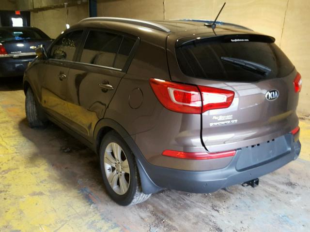 KNDPB3A25D7518385 - 2013 KIA SPORTAGE B BROWN photo 3