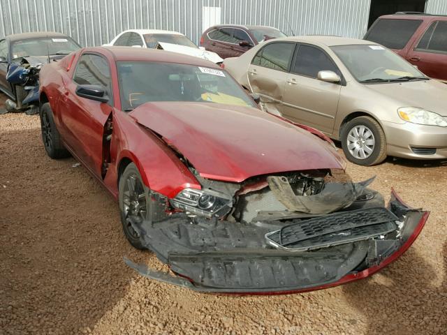 1ZVBP8AM4E5304332 - 2014 FORD MUSTANG RED photo 1