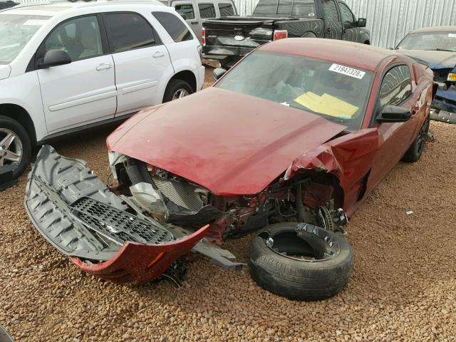 1ZVBP8AM4E5304332 - 2014 FORD MUSTANG RED photo 2
