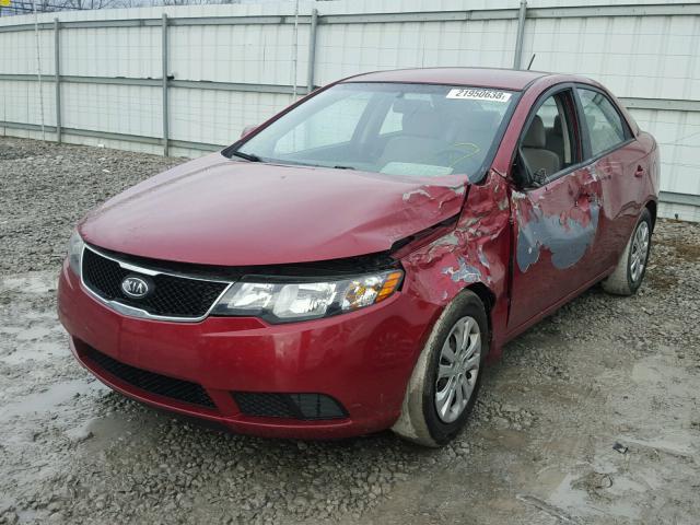 KNAFU4A23A5116980 - 2010 KIA FORTE EX RED photo 2