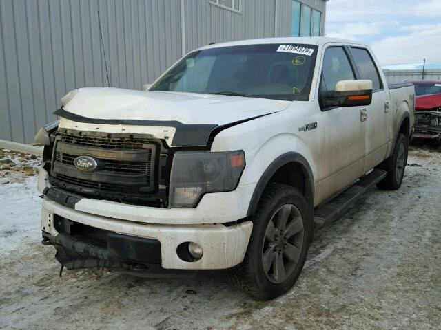 1FTFW1EFXDKE48218 - 2013 FORD F150 SUPER WHITE photo 2