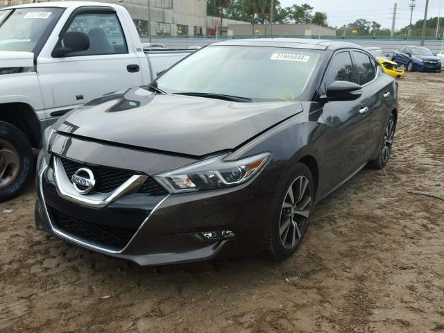 1N4AA6AP5GC905056 - 2016 NISSAN MAXIMA 3.5 BROWN photo 2