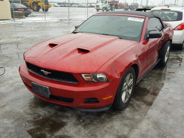 1ZVBP8EM4C5201709 - 2012 FORD MUSTANG RED photo 2
