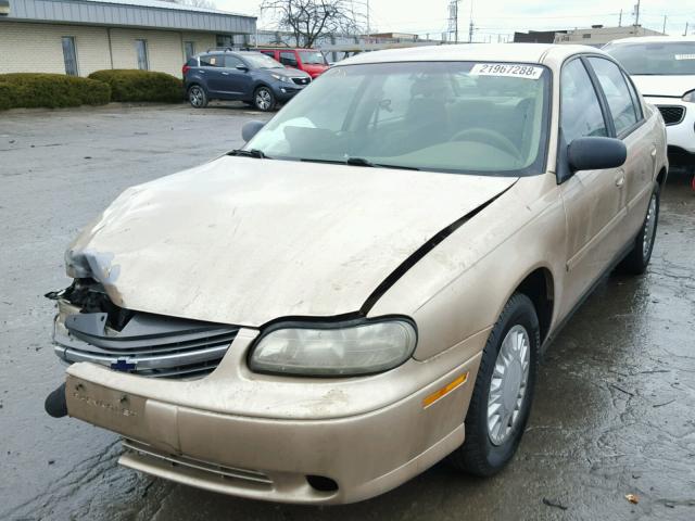 1G1ND52J43M725197 - 2003 CHEVROLET MALIBU GOLD photo 2