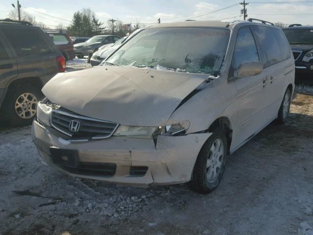 2HKRL18652H530905 - 2002 HONDA ODYSSEY EX GOLD photo 2