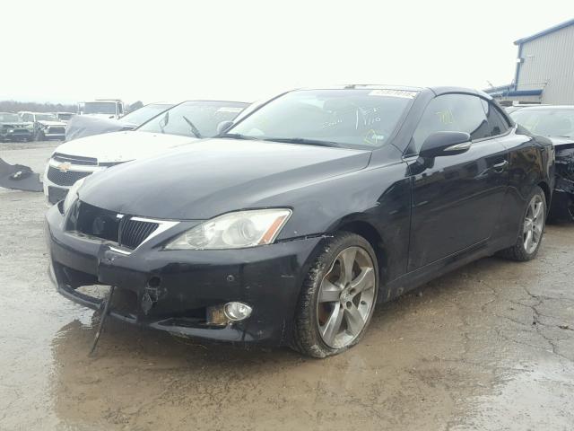 JTHFF2C22A2512896 - 2010 LEXUS IS 250 BLACK photo 2