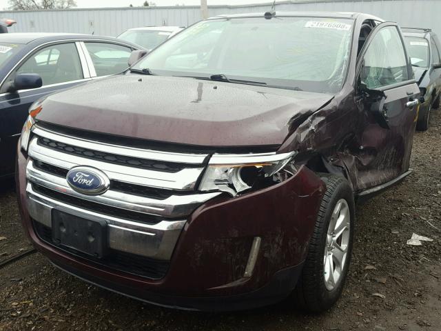 2FMDK4JCXBBA52339 - 2011 FORD EDGE SEL MAROON photo 2