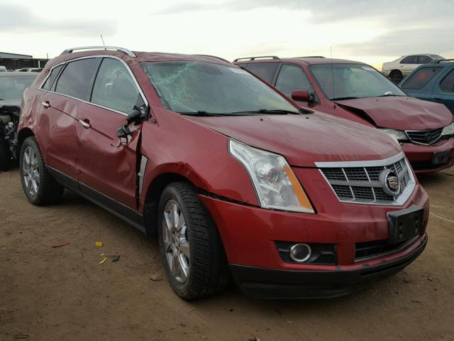 3GYFNBEY0BS534630 - 2011 CADILLAC SRX PERFOR MAROON photo 1