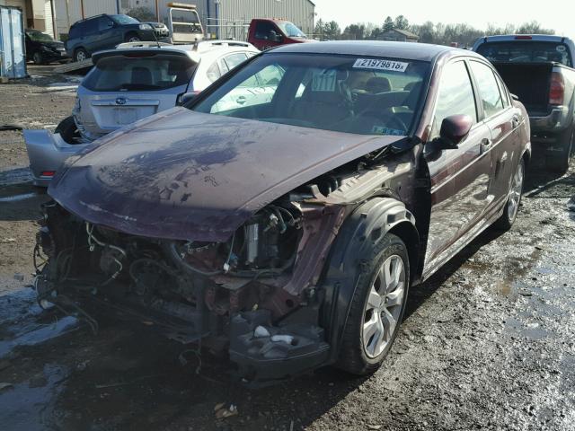 1HGCP26878A064397 - 2008 HONDA ACCORD EXL BURGUNDY photo 2