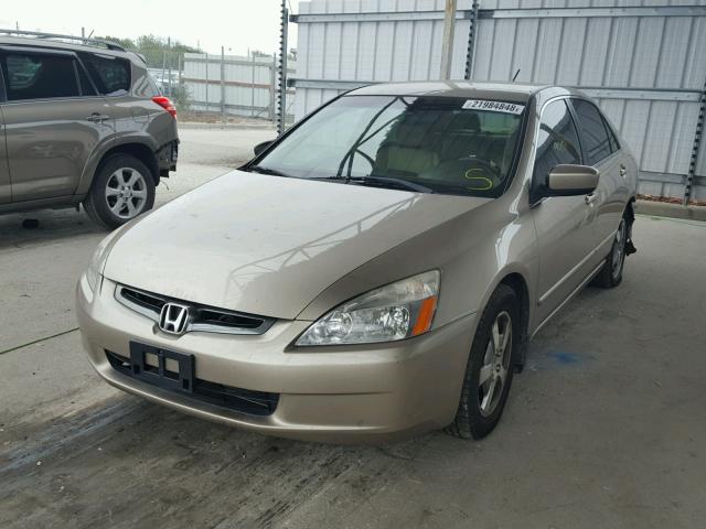 JHMCN36485C001251 - 2005 HONDA ACCORD HYB GOLD photo 2