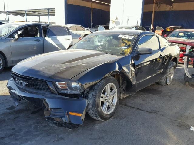 1ZVBP8ANXA5149014 - 2010 FORD MUSTANG BLACK photo 2