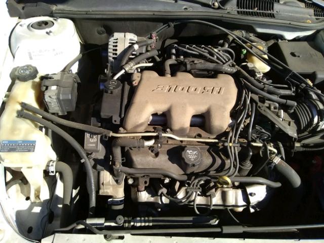 1G1NE52J63M589765 - 2003 CHEVROLET MALIBU LS 白色 照片 7