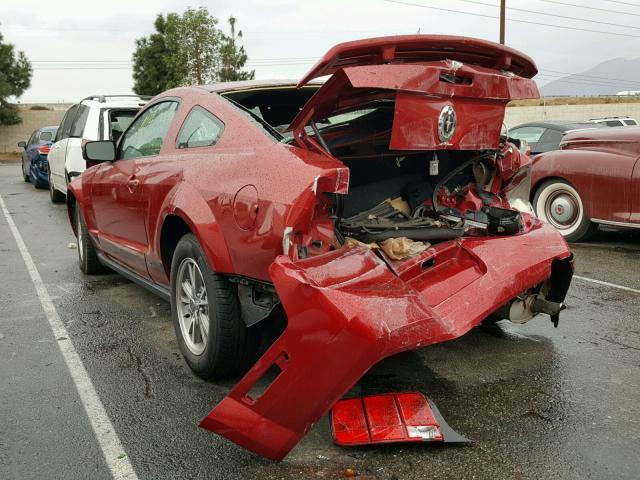 1ZVFT80NX55129673 - 2005 FORD MUSTANG RED photo 3