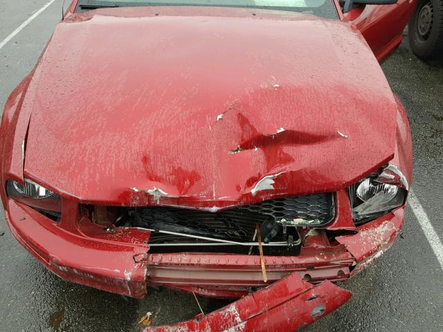 1ZVFT80NX55129673 - 2005 FORD MUSTANG RED photo 7