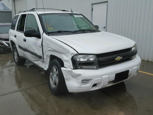 1GNDS13S552101214 - 2005 CHEVROLET TRAILBLAZE WHITE photo 1