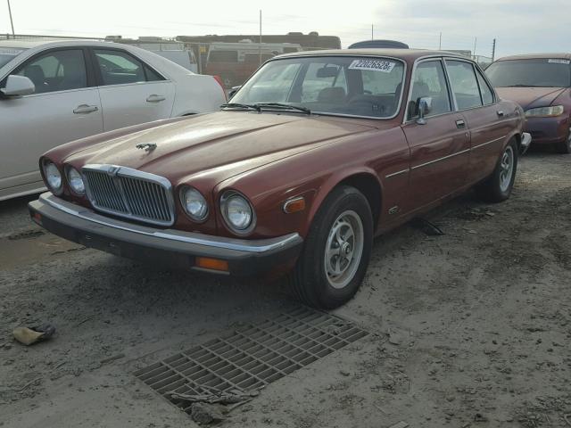 SAJAY1347EC378308 - 1984 JAGUAR XJ6 VANDEN RED photo 2