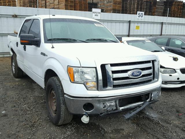 1FTEW1C87AFB25409 - 2010 FORD F150 SUPER WHITE photo 1