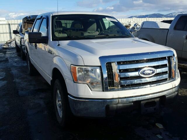 1FTPW14V09FA61013 - 2009 FORD F150 SUPER WHITE photo 1