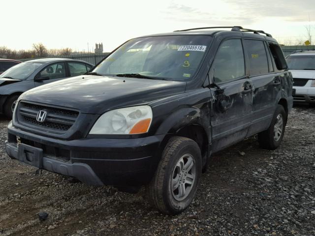 2HKYF18443H576115 - 2003 HONDA PILOT EX BLACK photo 2