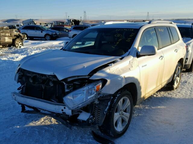 5TDDK3EH6AS032817 - 2010 TOYOTA HIGHLANDER WHITE photo 2