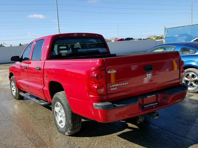 1D7HE48K75S303943 - 2005 DODGE DAKOTA QUA RED photo 3