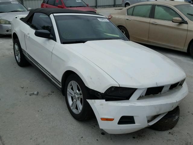 1ZVBP8EN5A5171819 - 2010 FORD MUSTANG TWO TONE photo 1