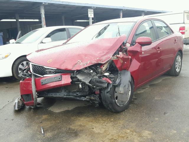 KNAFU4A27C5498935 - 2012 KIA FORTE EX RED photo 2