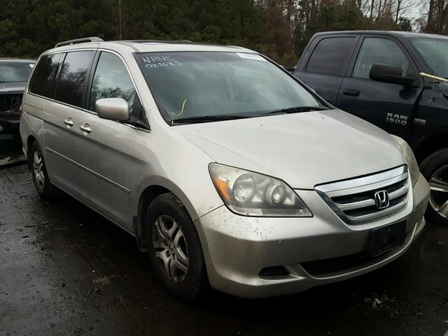 5FNRL38795B025635 - 2005 HONDA ODYSSEY EX GOLD photo 1