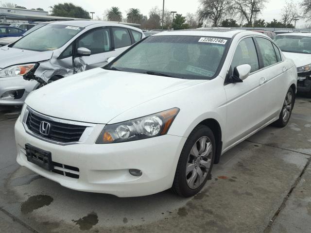 1HGCP36868A006500 - 2008 HONDA ACCORD EXL WHITE photo 2