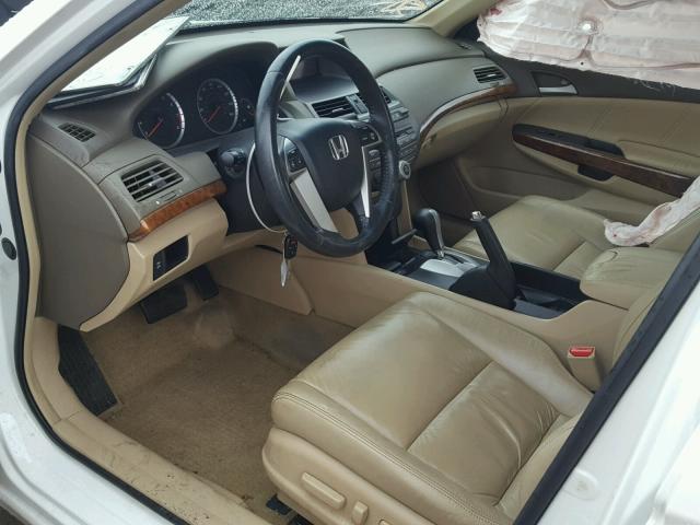 1HGCP36868A006500 - 2008 HONDA ACCORD EXL WHITE photo 5