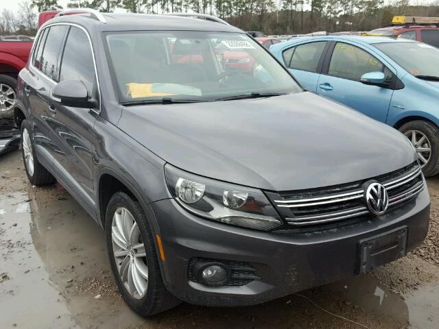 WVGAV3AX2DW569921 - 2013 VOLKSWAGEN TIGUAN S GRAY photo 1