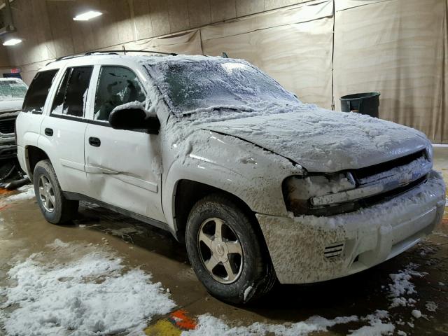 1GNDT13S262160204 - 2006 CHEVROLET TRAILBLAZE WHITE photo 1