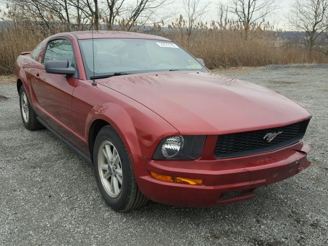 1ZVHT80N375250301 - 2007 FORD MUSTANG RED photo 1