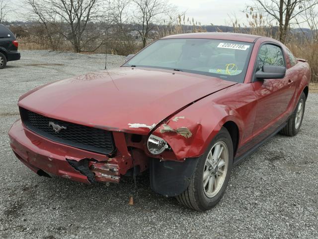 1ZVHT80N375250301 - 2007 FORD MUSTANG RED photo 2